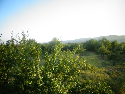 Casa Loreta - cazare Muntenia (Activitati si imprejurimi)