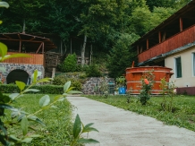 Cabana Lorina - alloggio in  Apuseni, Belis (16)