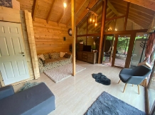 Cabana SAZ - alloggio in  Apuseni, Belis (22)