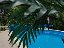 Cabana SAZ - alloggio in  Apuseni, Belis (26)