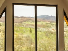 Cabana Serenity - A-frame - alloggio in  Muntenia (17)