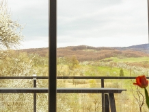 Cabana Serenity - A-frame - alloggio in  Muntenia (22)