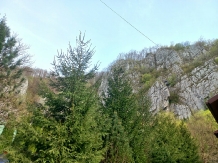 Casa Artemi - accommodation in  Apuseni Mountains (15)