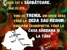 Casa Sanziana - alloggio in  Transilvania (24)