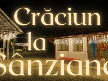 Casa Sanziana - alloggio in  Transilvania (25)