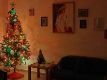 Casa Sanziana - alloggio in  Transilvania (27)