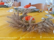 Casa Sanziana - alloggio in  Transilvania (59)
