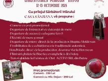 Casa Sanziana - alloggio in  Transilvania (63)