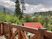 PENTA Apartments - accommodation in  Prahova Valley (22)
