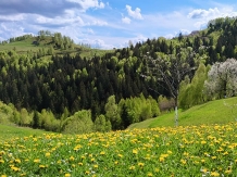 Casa Felinarul Muntilor - alloggio in  Rucar - Bran, Moeciu (14)