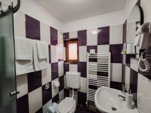 Casa Felinarul Muntilor - alloggio in  Rucar - Bran, Moeciu (21)