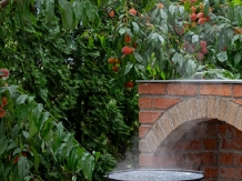 Pensiunea Intre Prieteni - alloggio in  Vallata di Brasov (03)