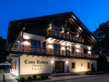 Casa Roben - accommodation in  Hateg Country (02)