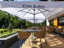 Casa Roben - accommodation in  Hateg Country (07)
