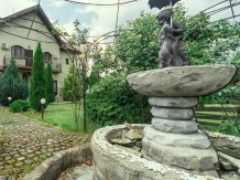 Pensiunea Alexandru - alloggio in  Nord Oltenia (02)