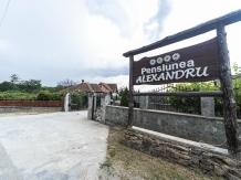 Pensiunea Alexandru - alloggio in  Nord Oltenia (15)