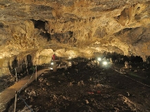 Pensiunea Alexandru - alloggio in  Nord Oltenia (29)