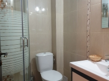 Vila Tisa - accommodation in  North Oltenia (12)