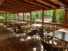 Vila Tisa - accommodation in  North Oltenia (16)