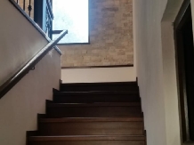 Vila Tisa - accommodation in  North Oltenia (17)