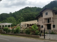 Vila Tisa - accommodation in  North Oltenia (18)