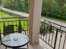 Vila Tisa - accommodation in  North Oltenia (19)