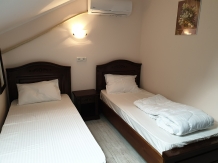 Vila Tisa - accommodation in  North Oltenia (22)