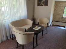 Vila Tisa - accommodation in  North Oltenia (23)