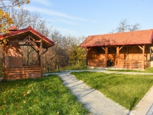 Pensiunea Tomis Evergreen - cazare Fagaras, Tara Muscelului (40)
