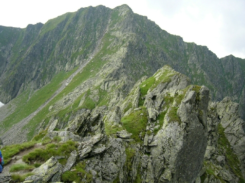 Pensiunea Tomis Evergreen - alloggio in  Fagaras e vicinanze, Tara Muscelului (Attivit&agrave; e i dintorni)