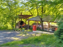 Pensiunea Alexandra - cazare Valea Prahovei (10)