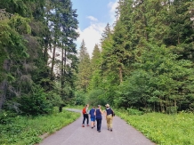 Pensiunea Alexandra - cazare Valea Prahovei (36)