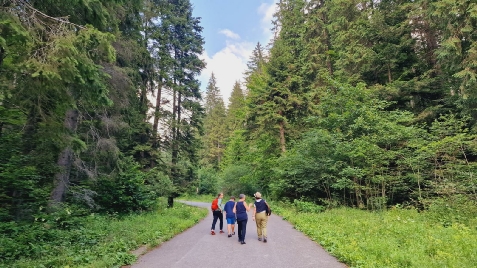 Pensiunea Alexandra - cazare Valea Prahovei (Activitati si imprejurimi)