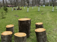 Pensiunea Stefania - cazare Valea Prahovei (09)