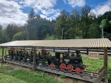 Pensiunea Lulu - cazare Vatra Dornei, Bucovina (10)