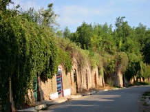 Salacea: Satul Celor 1000 de Pivnite