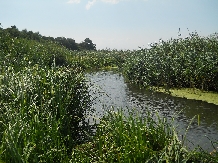 Arii protejate din Romania - Parcul Natural Comana